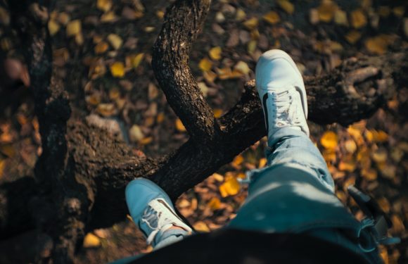 Standing on tree branch, looking down.