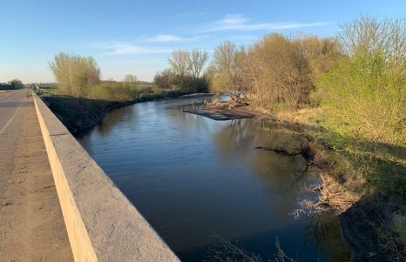 Peaceful River on a Sunny Day