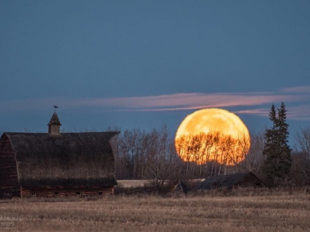 Moon
