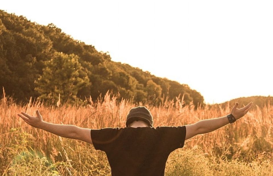 Person male outdoors meadow preview