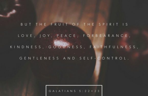 Galatians: 5:22-23