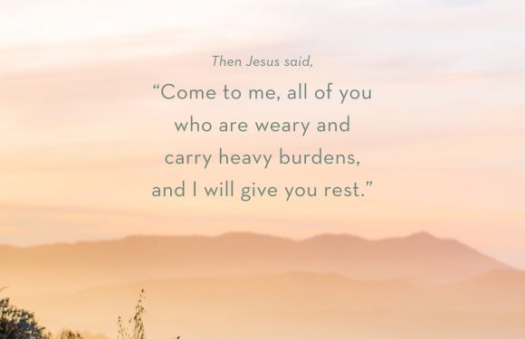 Foggy field with Matthew 11:28 bible verse overlaid