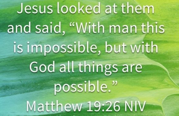 Matthew 19