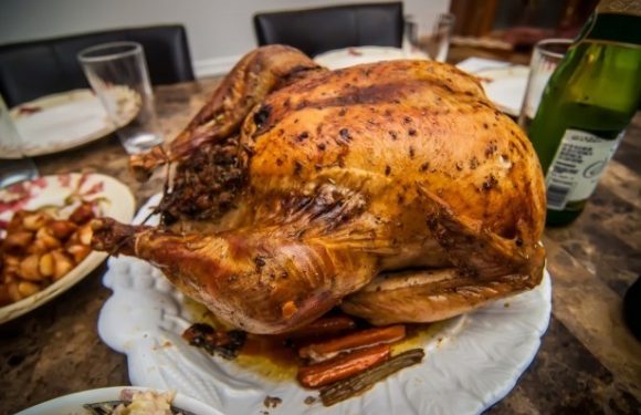 Thanksgiving Turkey