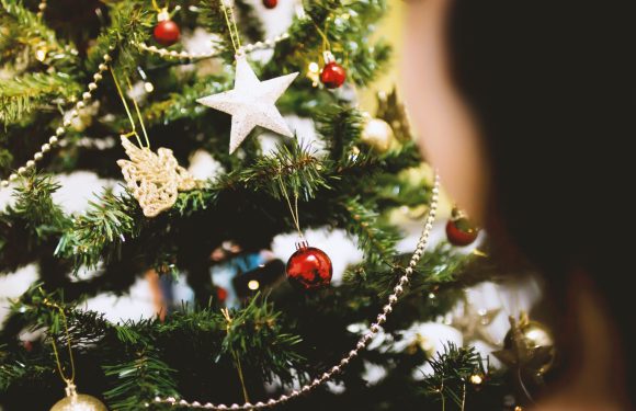 Decorated Christmas tree