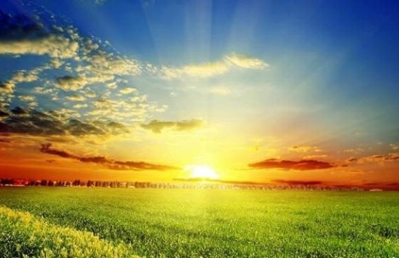 Sunrise over a field of grass