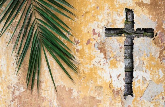 Palm branch and cross