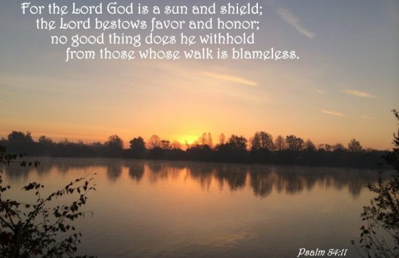 Psalm 84:11