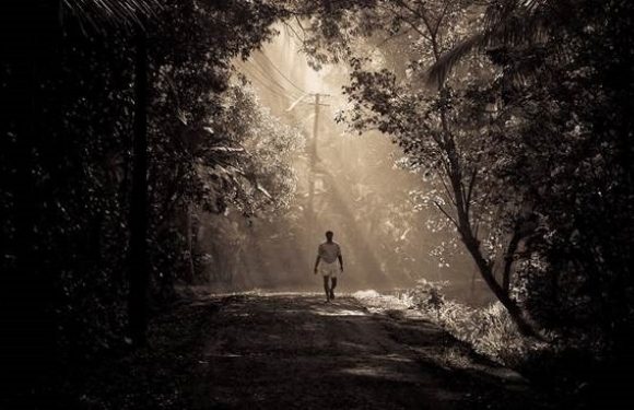 man walking in the woods