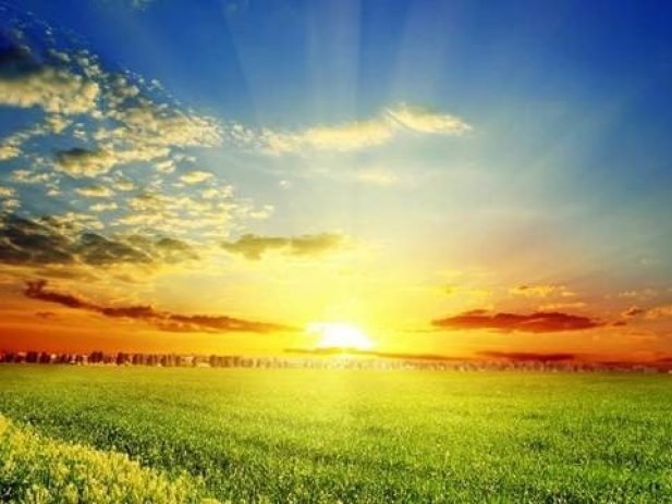 Sunrise over a field of grass